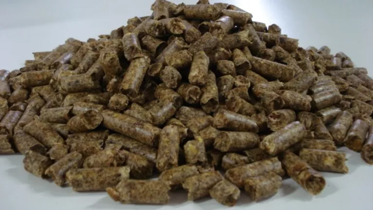 柑橘果肉