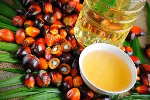 RBD Palm Oil